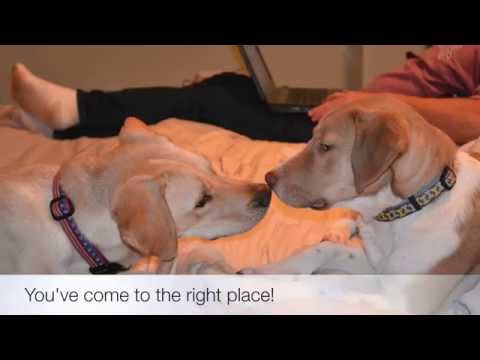 Pet Friendly Hotels Glendale, Arizona