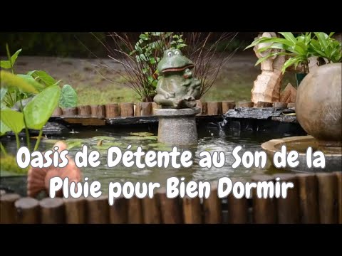 Plongez dans la sérénité | Méditation dans un jardin d'eau japonais 🌸 #méditationzen #paixintérieure