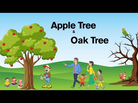 The Apple Tree and The Oak Tree | short stories | moral stories for kids | kids moral stories |#kids