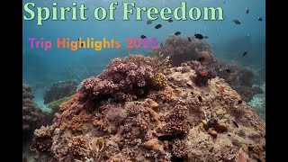 Spirit of Freedom Highlights May 2025 #scubadiving #australia #greatbarrierreef