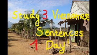 15 Seconds learning Vietnamese Part 4- Rice trees, main food of the Vietnamese& Asian/Học tiếng Việt