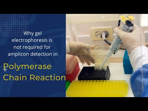 Polymerase chain reaction | Principle of Real time PCR | RT-PCR  don't require electrophoresis
