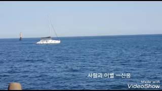 사랑과 이별 ㅡ신웅