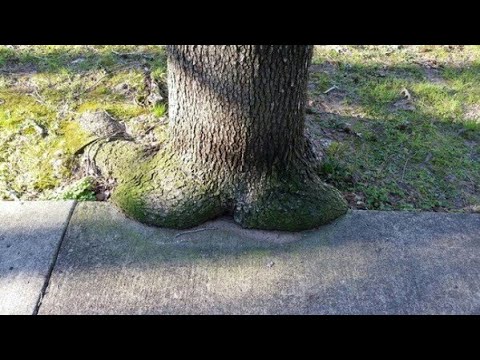 Amazing photos you have to see twice to understand!
