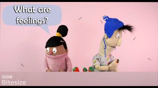 What are feelings? - BBC Bitesize Foundation Personal Development and Mutual Understanding