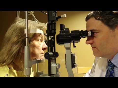 Graystone Eye-Scope of Services