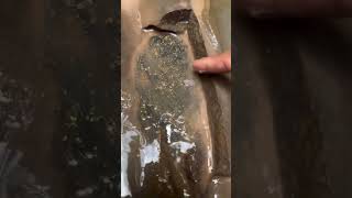 You Won’t Believe What He Found Behind This Rock! [Gold Found][Gold Panning Adventure]