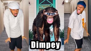 *1 HOUR* of Dimpey TikTok Compilation #99 | ImDimpey Funny TikToks 2025