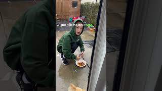 Theo actually sticking to looking after his chihuahua  #chihuahua #kidspets #petcare #funnyvideo