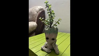 Check out new object of Baby Groot in action with Scanamaze app.