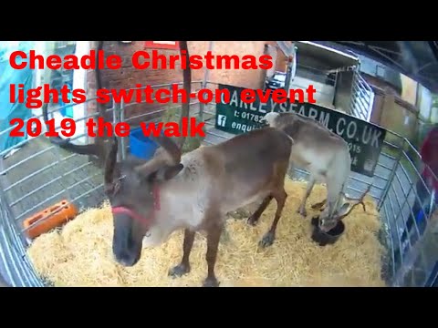 Cheadle Christmas lights switch-on event  2019 the walk