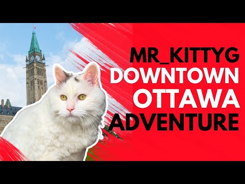 Mr_KittyG Whiskers in the Wind: My Purr-fect Day in Downtown Ottawa!