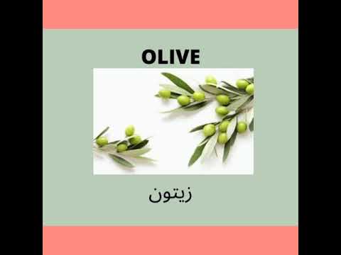 50 vegetables name in English and Urdu with picture  part 2
