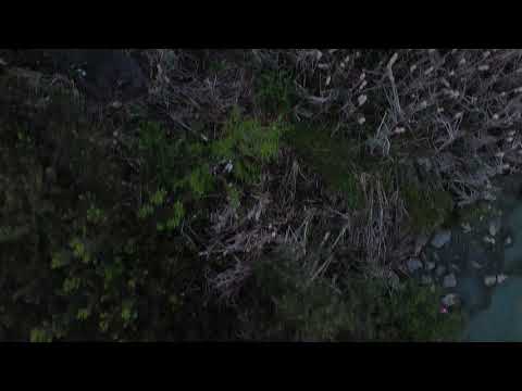 Mavic Mini tours Libbie Mill!