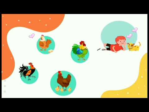 Video Pembelajaran Kelas 3