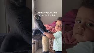 Cats love babies♥️#Love #friends #viralvideo #baby #cat #catsoftiktok #funny #funnycat
