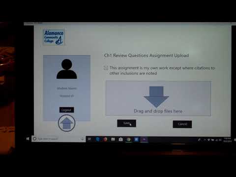 Adobe XD Course - Week 1