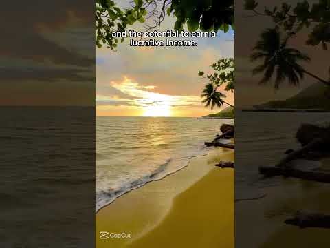 #digitalmarketingtips #monetizeyoursocialmedia #workfromhome #socialmediamarketing #digitalmarketing