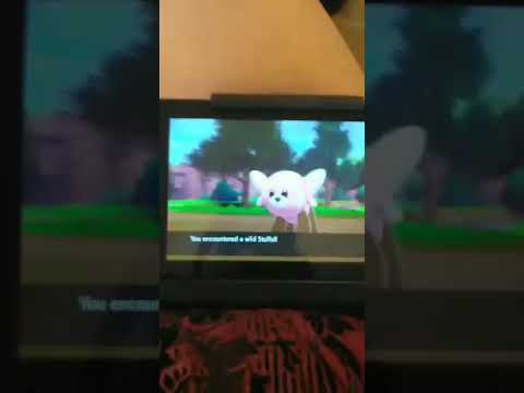 Double Shiny Magikarp!!