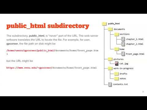 cis255 04 html key concepts quiz review