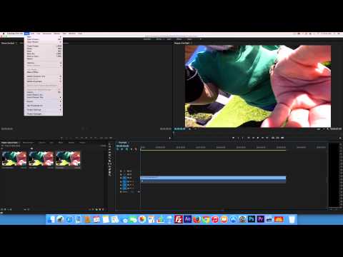 Alpha Channel for Video Premiere Pro