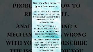 What’s a Bug Report Quick Breakdown!