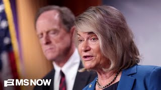 'I see what the big deal is': Republican senator reacts to Epstein files