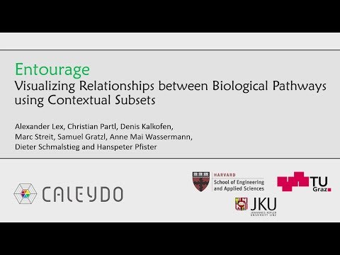 Entourage: Visualizing Relationships between Biological Pathways using Contextual Subsets