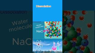 have you ever wondered how things are dissolved🤔| Dissociation🧪 | Chemistry animation