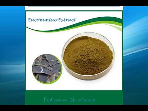 Eucommiae Extract supplier,wholesale,factory,bulk