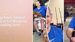 Healing Paws Animal Therapy
