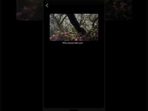 Allah(swt) ❤️🕋 #allah #trustallah