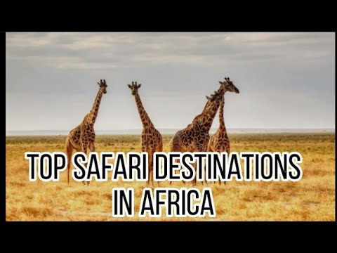 Amazing African Safari Destinations You Must See #TopSafari #Africansafari #bestbeachdestination