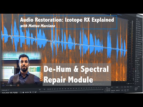 RX (6): De Hum & Spectral De Noise Module