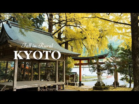 Autumn in the Countryside of KYOTO, Takao 🍁  | JAPAN TRAVEL VLOG
