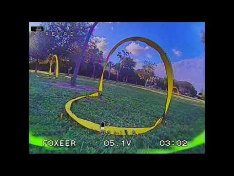 Saturday Racing
