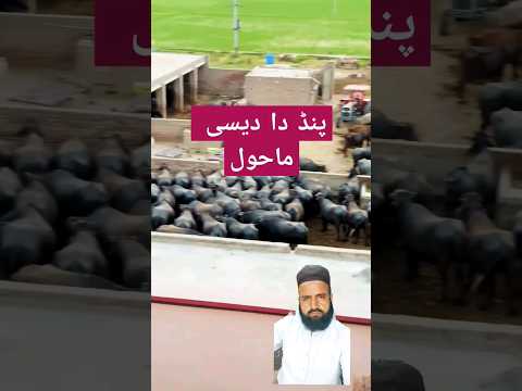 shortsvideo #1million #viral #comedy #trending #kids shortsvideos @sulmanuk