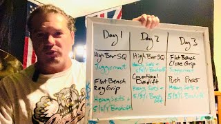 Day 17 - Lifting Wisdom - My Powerbuilding Program - Need Help With Your Programming?