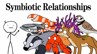 Interesting and Bizarre Animal Symbiotic Relationships #animals #nature #biology