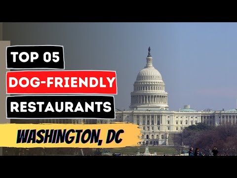 Top 5 Dog-Friendly Restaurants in Washington DC