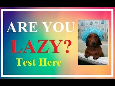 How Lazy Are You ?