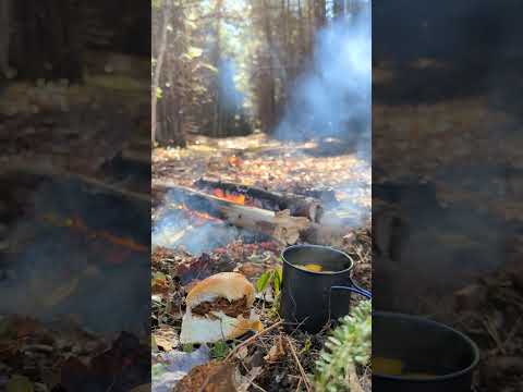 🔥 Forest Lunch 🌲#lunch #forest #woods #campfire #fire