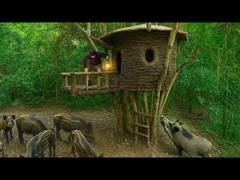 How I Build a Tree Shelter Using Vines to Survive in the Rainforest