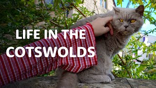 Life in the Cotswolds 🍁 | Gym Routine, DIY Tile Project & Fireworks Night