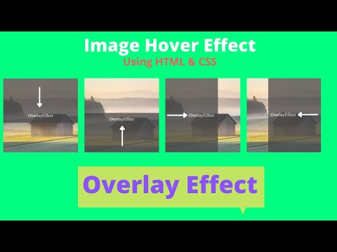 How to Create Image Hover Effect Using HTML &  CSS | Image Overlay Effect