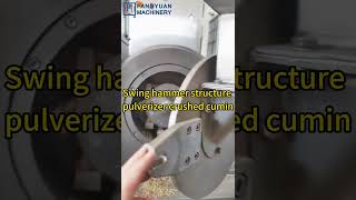 Hammer type cumin pulverizer  #machine #factory #crusher#pulverizer