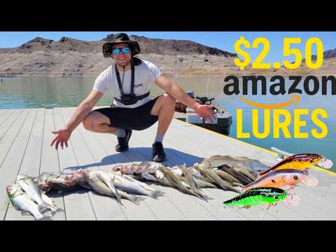 Who Knew $2 Amazon Lures Could Catch this many Stripers at Lake Mead Nevada