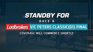 TheDogs Live Stream - 2021 Ladbrokes Vic Peters Classic