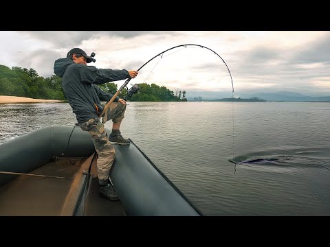 INSANE BATTLE with a GIANT CATFISH | You Won’t Believe the Size!
