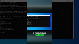 MySQL ROOT Access | MySQL database Queries for beginners #mysql #mysqldatabase #databasequeries